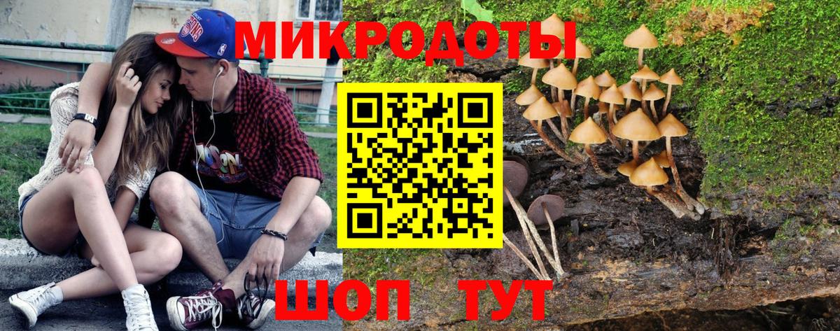 Галлюциногенные грибы мицелий  Вход с VPN  Чехов  Псилоцибиновые грибы GOLDEN TEACHER 